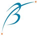 Brandon Carrington Lee Foundation